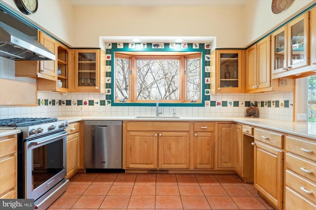 5864 Wyant Ln, Charlottesville, VA 22903 - kitchen with appliances with stainless steel finishes, a sink, exhaust hood, light countertops, and tasteful backsplash