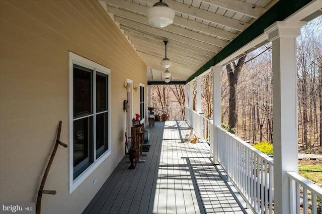 5864 Wyant Ln, Charlottesville, VA 22903 - photo 47