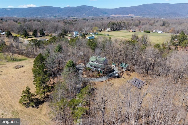 5864 Wyant Ln, Charlottesville, VA 22903 - photo 53