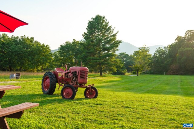 462 Winery Ln, Nellysford, VA 22958 - surrounding community with a mountain view and a lawn