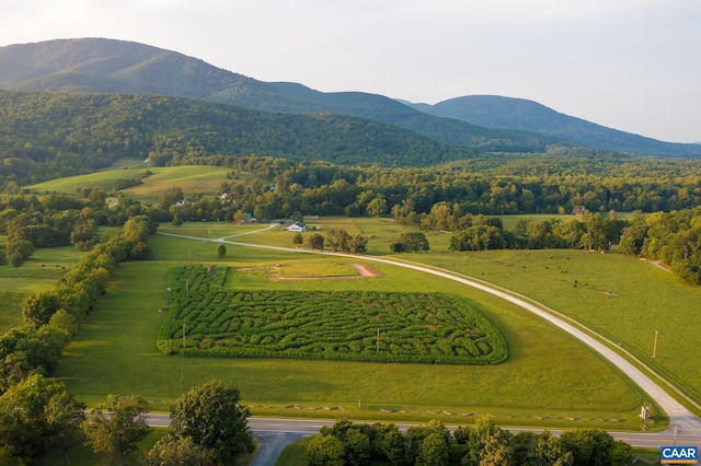 462 Winery Ln, Nellysford, VA 22958 - aerial view with a rural view and a mountain view