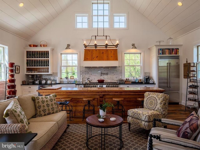 435 Larkins Mill Ln, Brightwood, VA 22715 - living room featuring dark wood-style floors, recessed lighting, high vaulted ceiling, and plenty of natural light