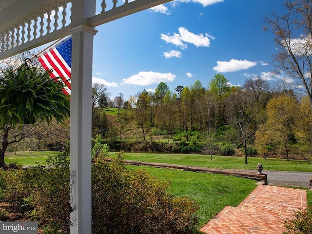 435 Larkins Mill Ln, Brightwood, VA 22715 - view of exterior details