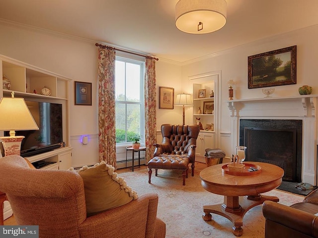 435 Larkins Mill Ln, Brightwood, VA 22715 - living area with a wealth of natural light, a baseboard radiator, a fireplace, and crown molding