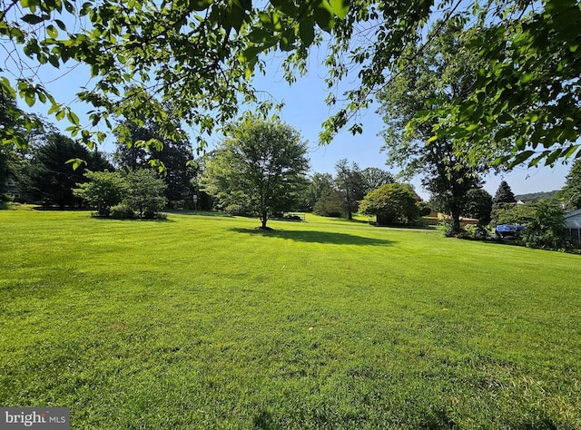 336 Blankenbaker Rd, Madison, VA 22727 - view of green lawn