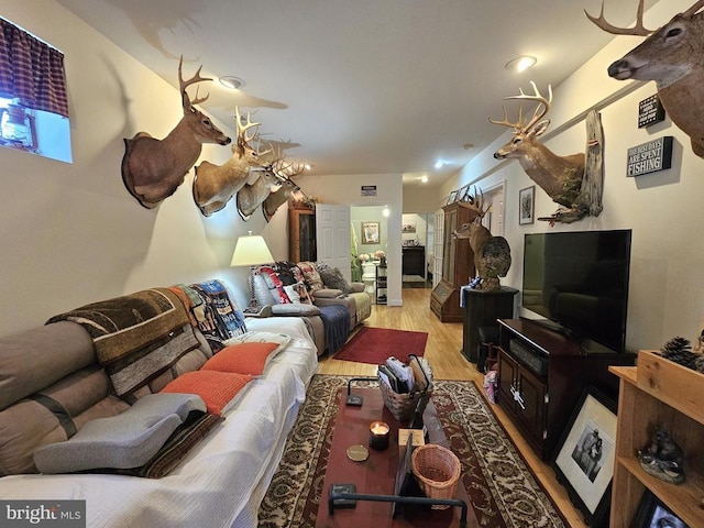 336 Blankenbaker Rd, Madison, VA 22727 - living room with light wood-style floors