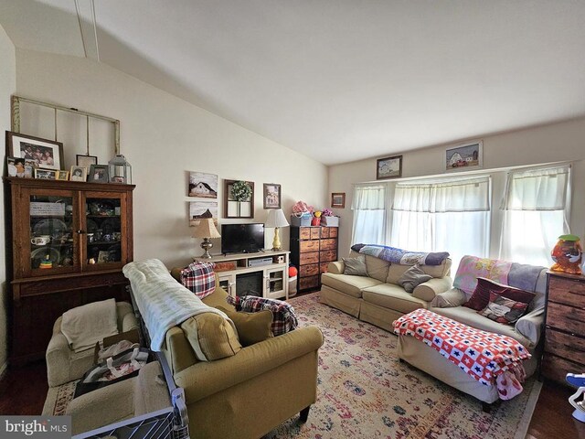 336 Blankenbaker Rd, Madison, VA 22727 - living area featuring vaulted ceiling and wood finished floors