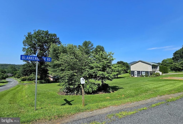 336 Blankenbaker Rd, Madison, VA 22727 - view of road