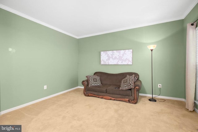 3113 Somerset Dr, Jeffersonton, VA 22724 - living area featuring crown molding and carpet floors