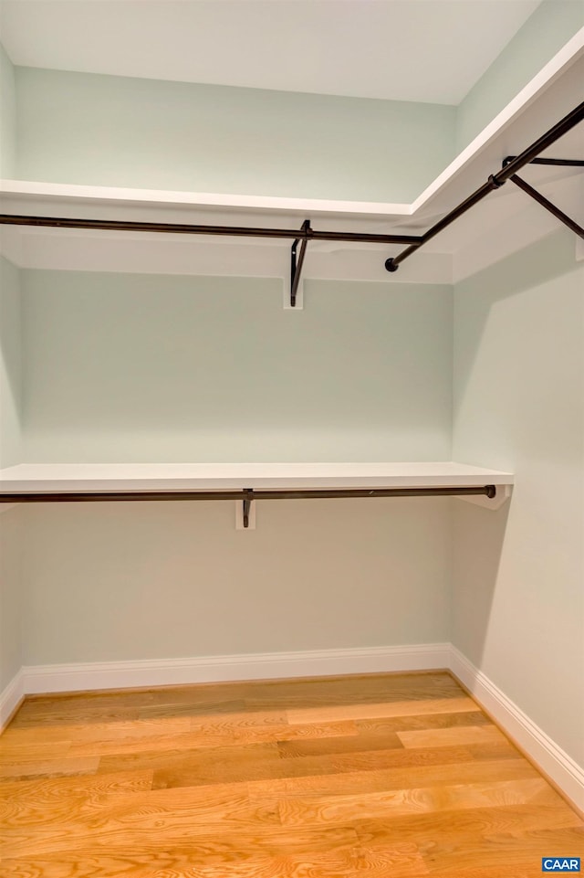 walk in closet with light wood-type flooring