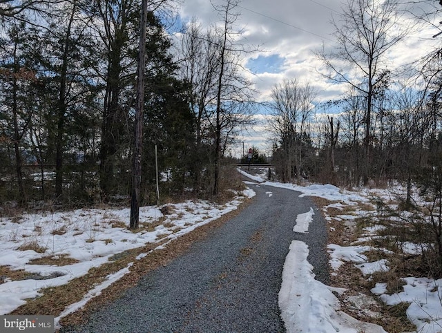 Rapidan Rd, Rapidan, VA 22733 - photo 3