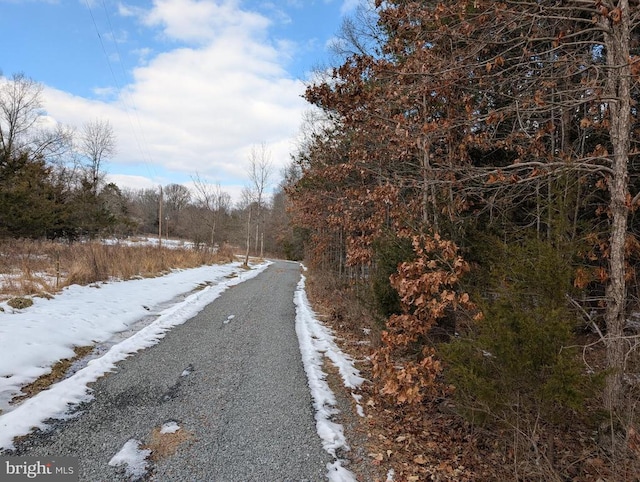 Rapidan Rd, Rapidan, VA 22733 - photo 2