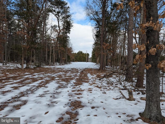 Rapidan Rd, Rapidan, VA 22733 - photo 5