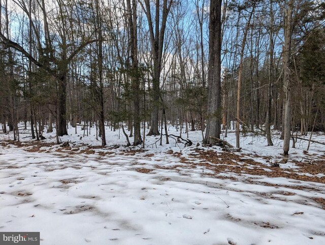 Rapidan Rd, Rapidan, VA 22733 - photo 11