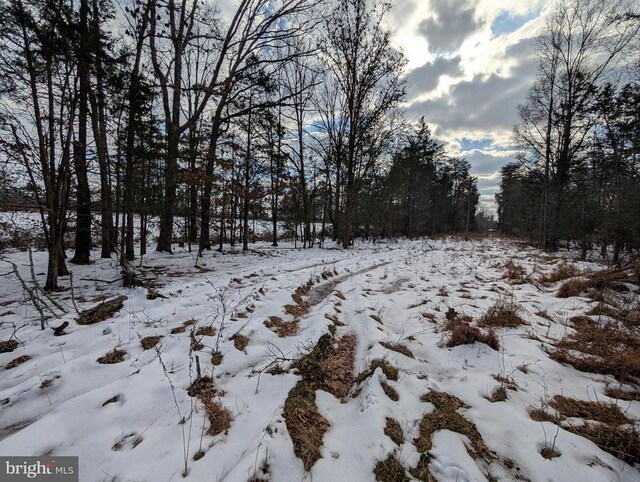 Rapidan Rd, Rapidan, VA 22733 - photo 10