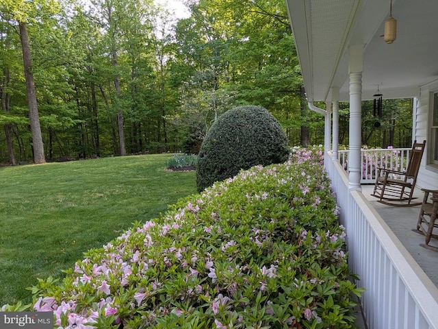  - view of green lawn with a porch