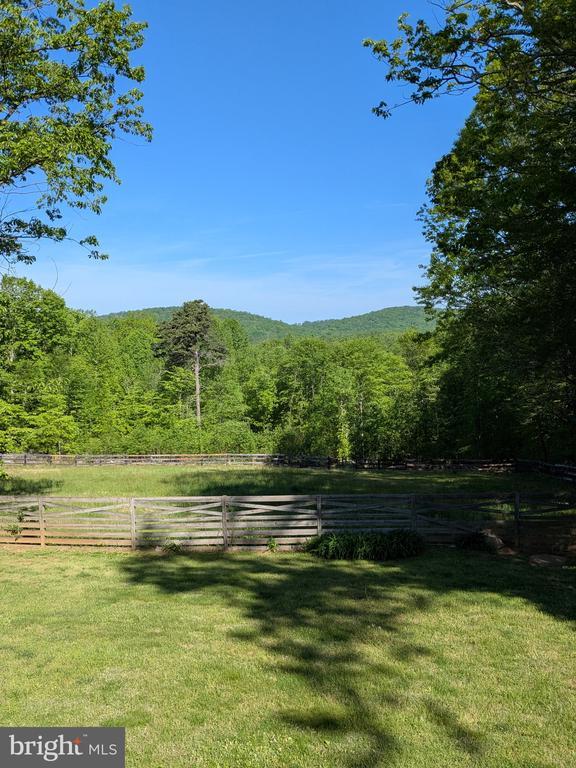  - view of yard with a forest view