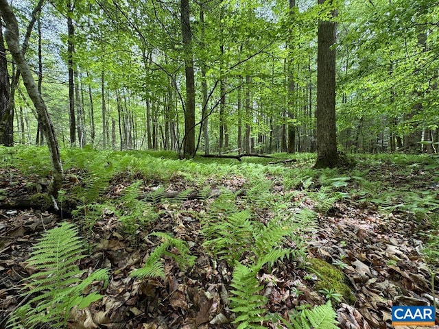 TBD Starey Draft Lane, West Augusta, VA 24485