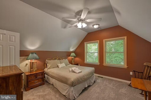 68 Emma Jane Ln, Bumpass, VA 23024 - photo 26