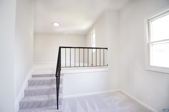158 Scarborough Pl, Charlottesville, VA 22903 - stairs with carpet and baseboards