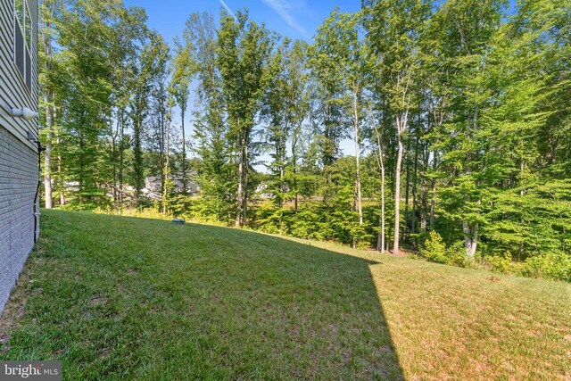 8734 Greenway Dr, Spotsylvania, VA 22551 - photo 50