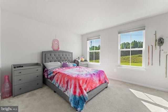 8734 Greenway Dr, Spotsylvania, VA 22551 - photo 37