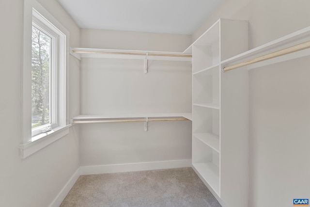 34 Turkeysag Trl, Palmyra, VA 22963 - walk in closet featuring carpet flooring