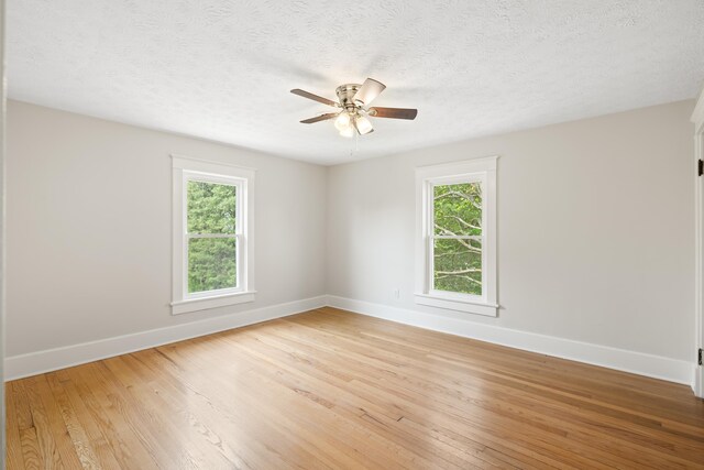 630 Battlefield Rd, Fort Defiance, VA 24437 - spare room featuring plenty of natural light, baseboards, ceiling fan, light wood finished floors, and a textured ceiling