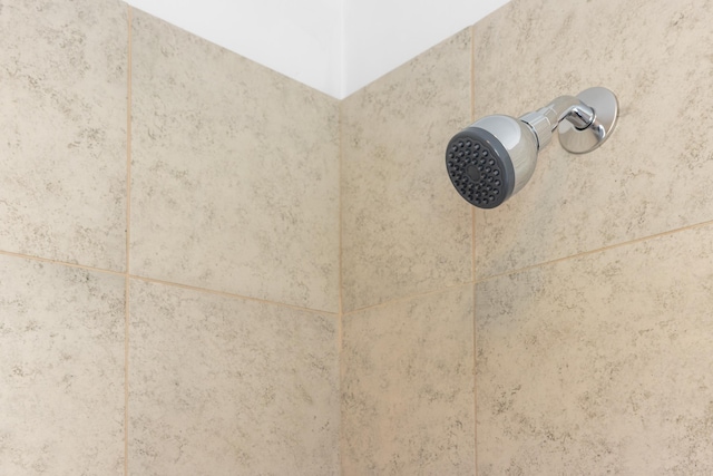 630 Battlefield Rd, Fort Defiance, VA 24437 - bathroom view of a tile shower