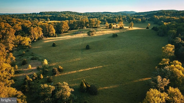  - photo 5