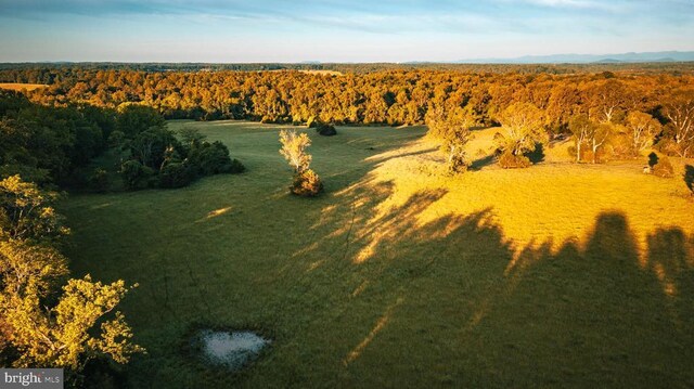  - photo 7