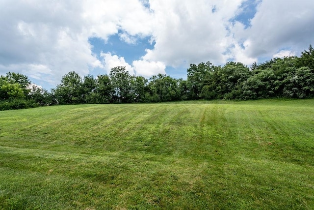 551 Pointe Dr, Harrisonburg, VA 22801 - photo 20