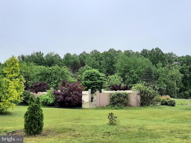 5902 Patriot Hwy, Woodford, VA 22580 - view of yard