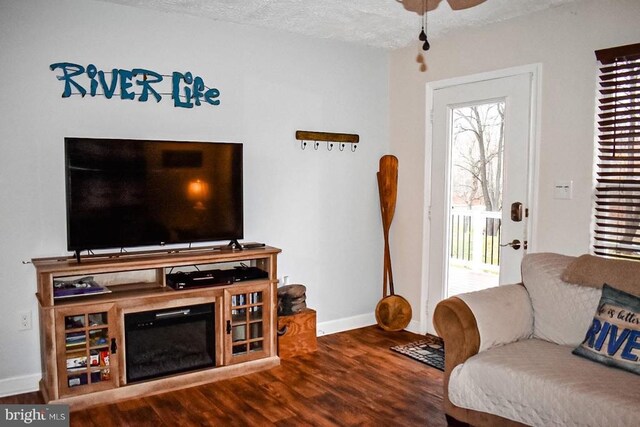 4551 Grove Hill River Rd, Shenandoah, VA 22849 - living room with plenty of natural light, wood finished floors, a ceiling fan, and a textured ceiling