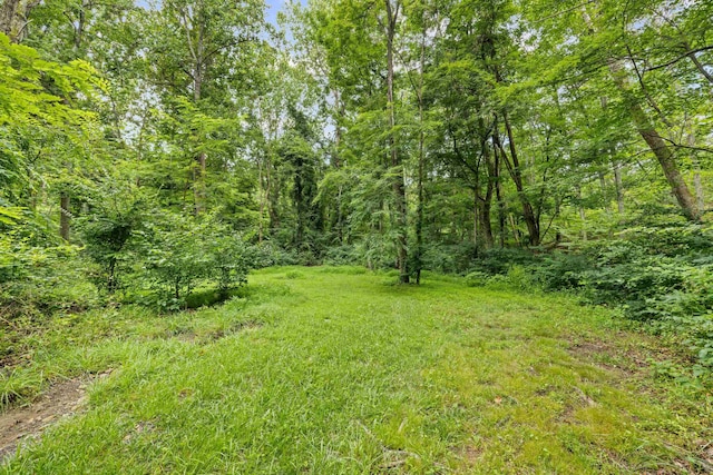 40 Bear Den Rd N, Waynesboro, VA 22980 - photo 45