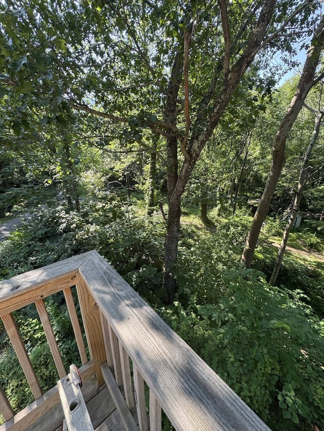 40 Bear Den Rd N, Waynesboro, VA 22980 - photo 36