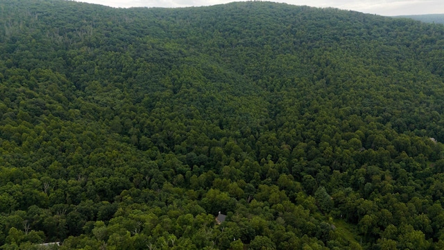 40 Bear Den Rd N, Waynesboro, VA 22980 - photo 56