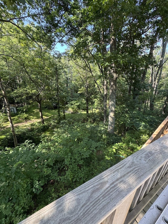 40 Bear Den Rd N, Waynesboro, VA 22980 - photo 35