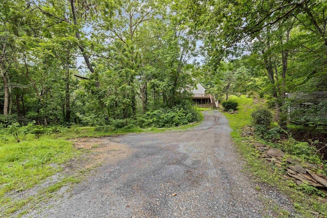 40 Bear Den Rd N, Waynesboro, VA 22980 - photo 48