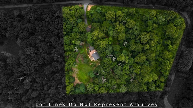 40 Bear Den Rd N, Waynesboro, VA 22980 - photo 47