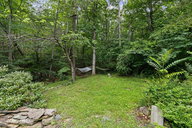 40 Bear Den Rd N, Waynesboro, VA 22980 - photo 38