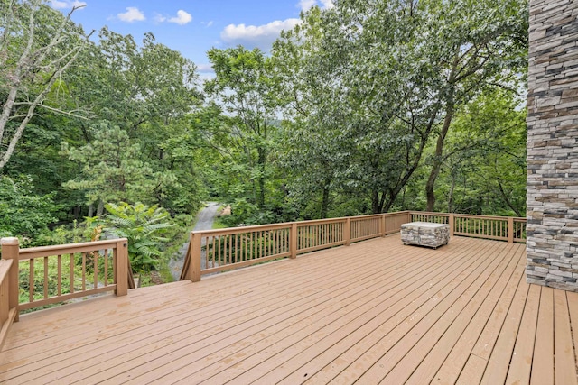 40 Bear Den Rd N, Waynesboro, VA 22980 - photo 3