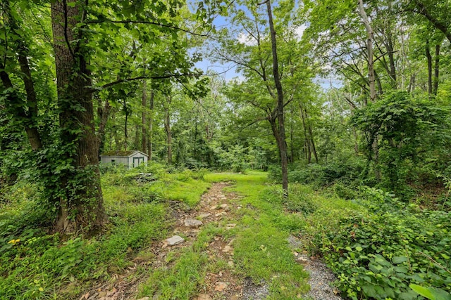 40 Bear Den Rd N, Waynesboro, VA 22980 - photo 44