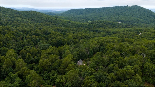 40 Bear Den Rd N, Waynesboro, VA 22980 - photo 57