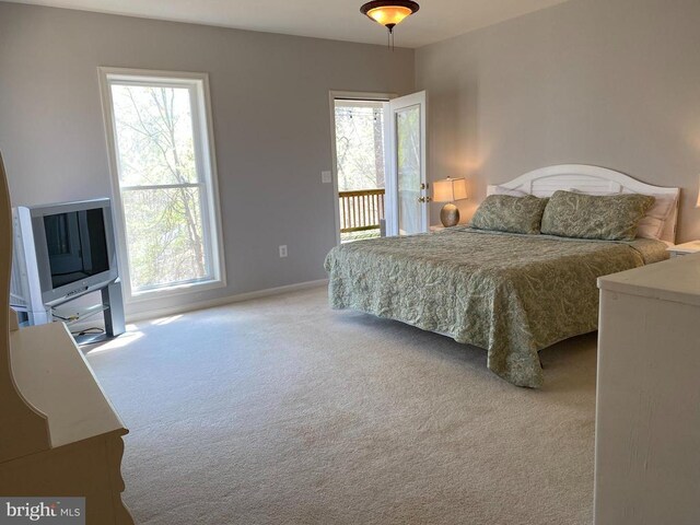 6029 Lost Cove Dr, Mineral, VA 23117 - bedroom with carpet flooring, multiple windows, and baseboards