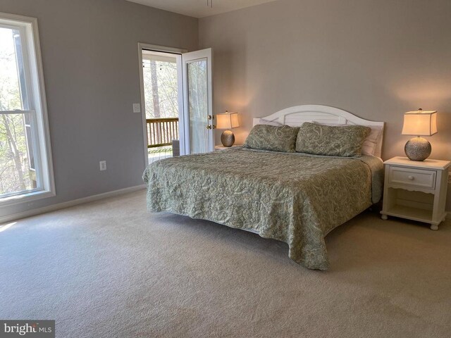 6029 Lost Cove Dr, Mineral, VA 23117 - bedroom featuring light colored carpet, multiple windows, and baseboards