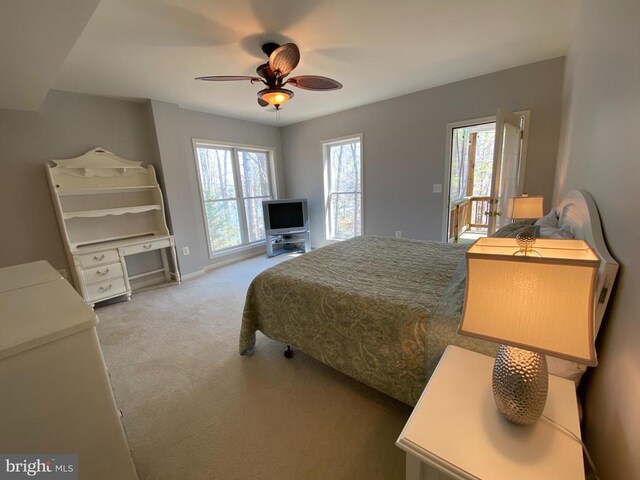 6029 Lost Cove Dr, Mineral, VA 23117 - bedroom with carpet flooring, multiple windows, a ceiling fan, and baseboards