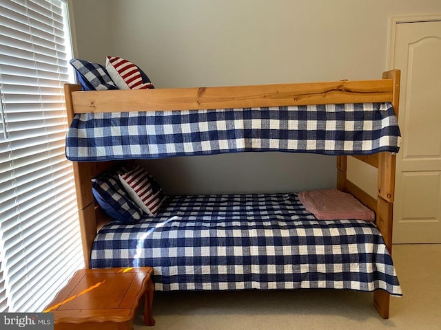 6029 Lost Cove Dr, Mineral, VA 23117 - view of bedroom