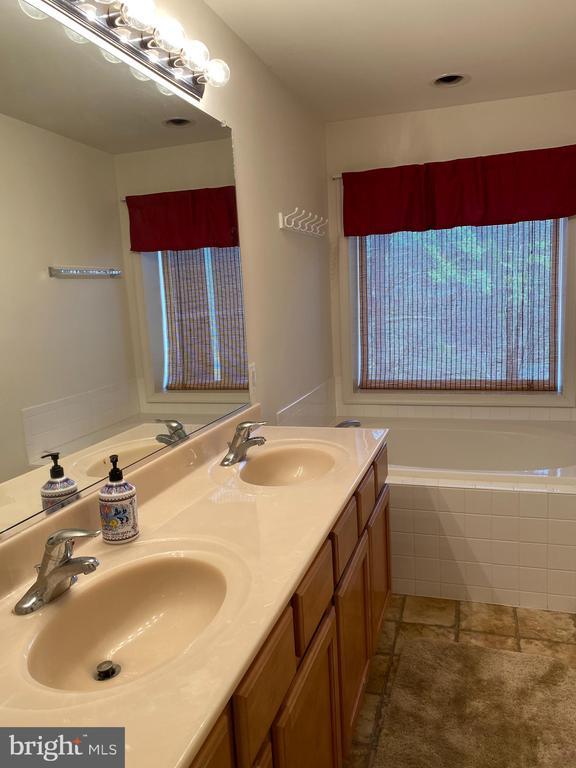 6029 Lost Cove Dr, Mineral, VA 23117 - full bath featuring a garden tub and double vanity