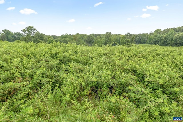 5039 James Madison Hwy, Fork Union, VA 23055 - photo 74